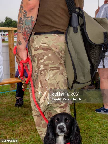Visitors to The Game Fair at Hatfield House on July 26, 2019 in Hatfield, England. The Game Fair is the annual gathering for people passionate about...