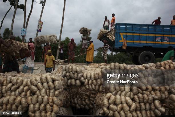 Labourers carry jute from a boat to a truck to send it in the capital Dhaka. Photo has taken on 26 July 2019 from Kurigram, Bangladesh.