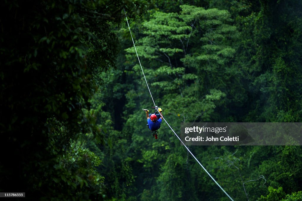 Rainforest Canopy Zip Line