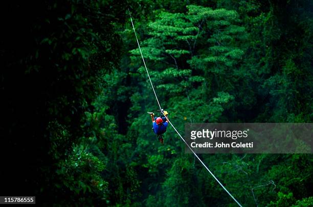 rainforest canopy zip line - costa rica stock pictures, royalty-free photos & images