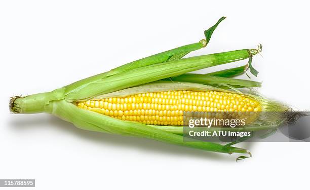 corn and husk - corn stock-fotos und bilder