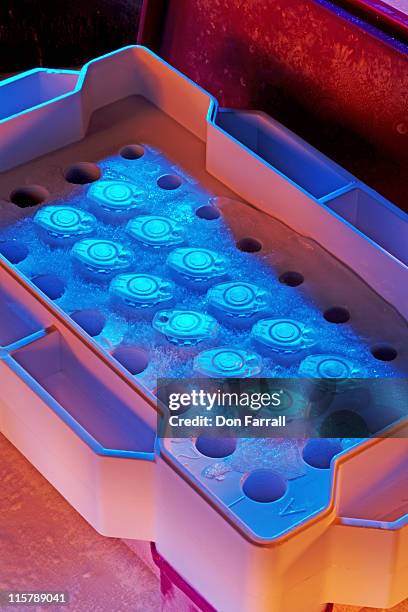 Dna Sample Container Dna Storage Photos and Premium High Res Pictures - Getty Images