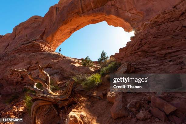 north window,arches national park - arches national park stockfoto's en -beelden