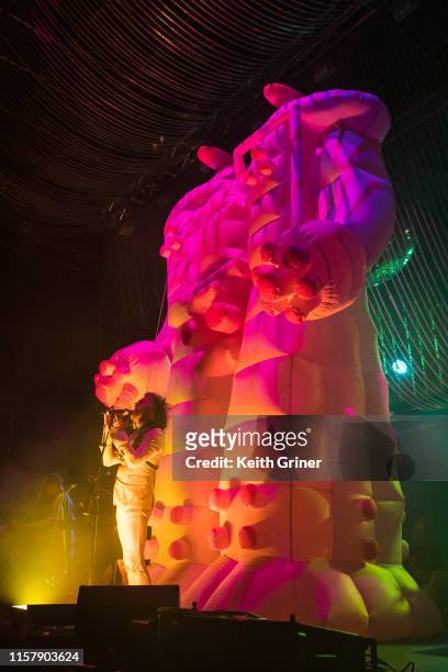Wayne Coyne of the Flaming Lips performs at The Lawn at White River State Park on July 26, 2019 in Indianapolis, Indiana.