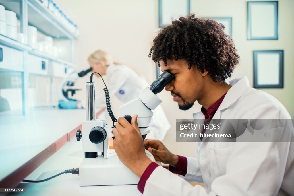 Scientist Using Microscope In Laboratory High-Res Stock Photo - Getty ...