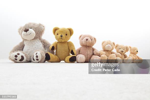 teddy bears in a row - teddy bear on white foto e immagini stock