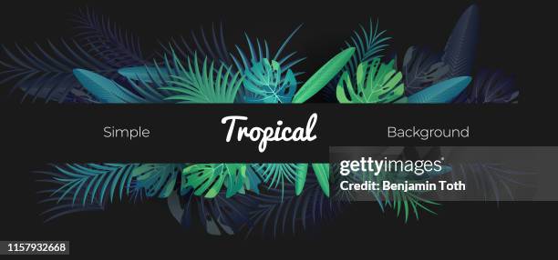 ilustraciones, imágenes clip art, dibujos animados e iconos de stock de bandera floral tropical verde sobre fondo negro - diseño tropical