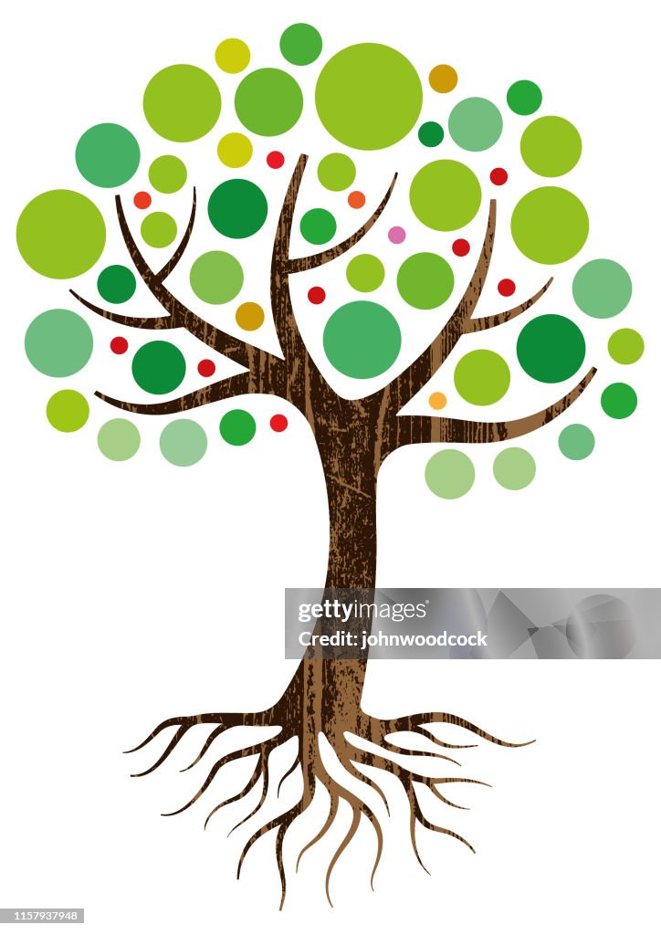 Illustrazione decorativa di alberi e radici