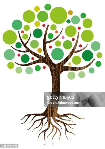 328点のtree Rootsイラスト素材 Getty Images 328点のtree Rootsイラスト素材 Getty Images