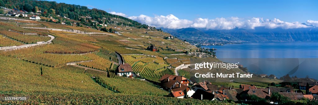 Lake Geneva and vineyards in autumn