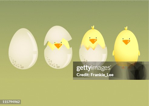 Chick Hatching Chick Hatching
