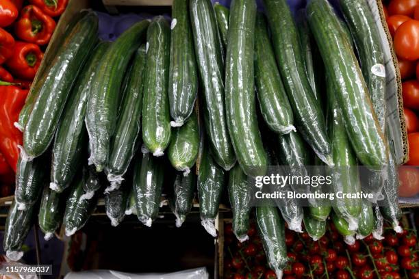 cucumbers sit wrapped in plastic film wrapping - gurke stock-fotos und bilder