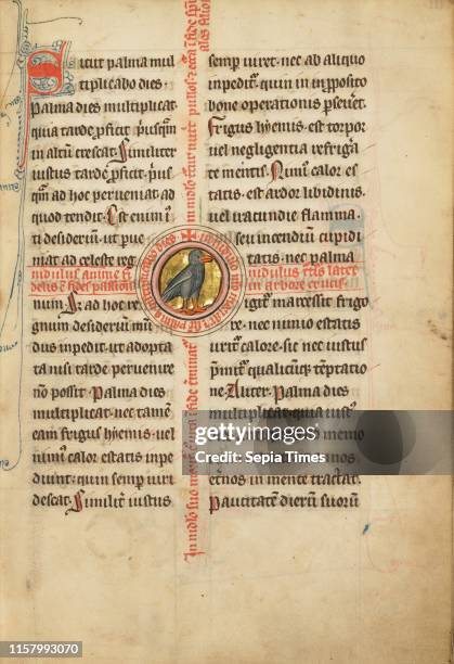 Medallion with a Turtle Dove. Unknown. Therouanne ?. France . Europe. Fourth quarter of 13th century . Tempera colors. Pen and ink. Gold leaf. And...