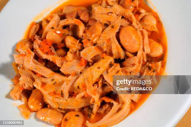 Ligurian tripe. Trippa alla ligure. Traditional ligurian recipe. Ligury. Italy. Europe.