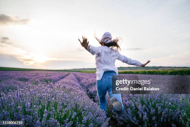 umarmen sie die natur. genießen sie die lavendeltage mit offenen armen. - lavendelfeld stock-fotos und bilder