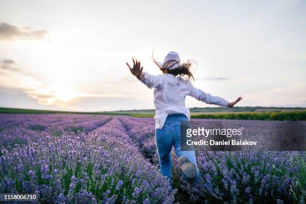 omarm de natuur. geniet van de lavendel dagen met open armen. - lavender field france stockfoto's en -beelden