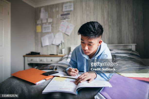 preparing for exams - concentration stock pictures, royalty-free photos & images