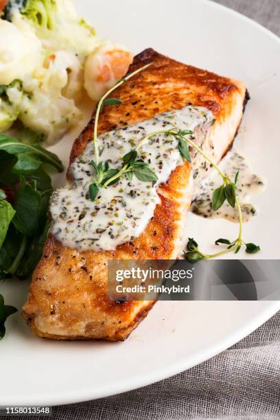 filete de salmón, filete de salmón con salsa, - filete de salmón fotografías e imágenes de stock