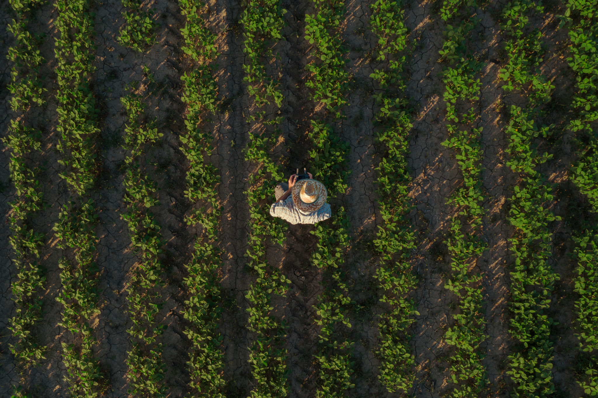 farm monitoring