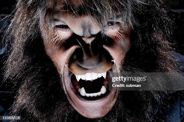 portrait of werewolf - werewolf stock pictures, royalty-free photos & images
