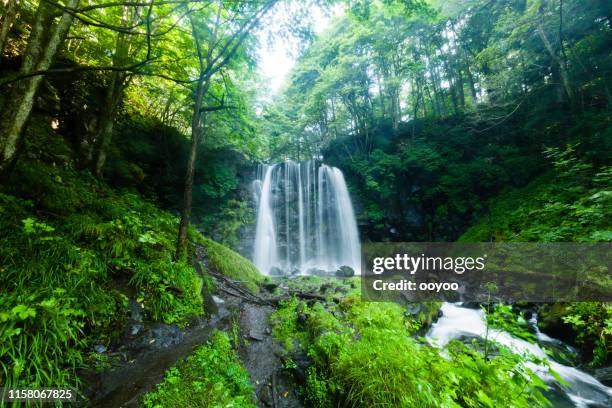 watervallen en bergbeek in het bos - japan onsen stockfoto's en -beelden