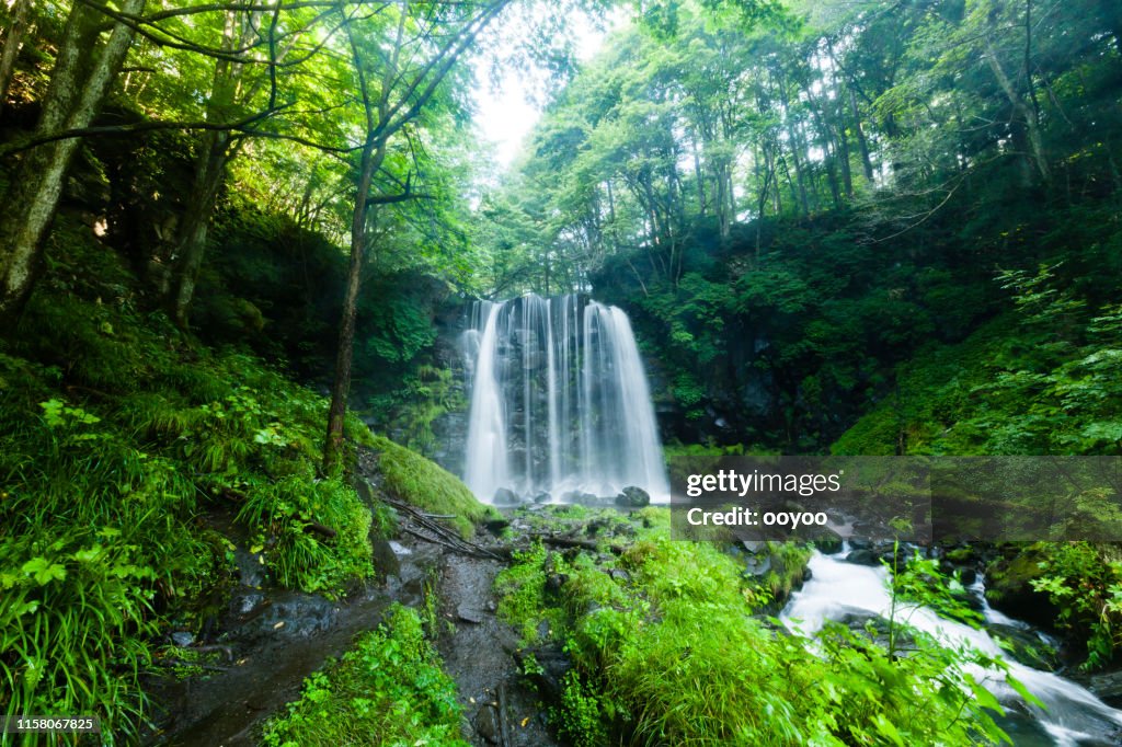 Waterfalls And Mountain Stream In The Forest