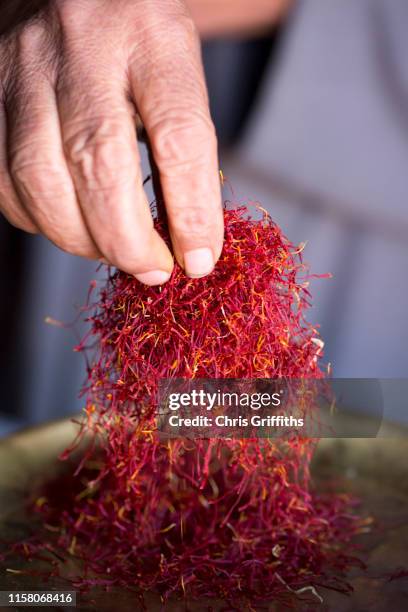 taliouine saffron harvest - morocco spices stock pictures, royalty-free photos & images