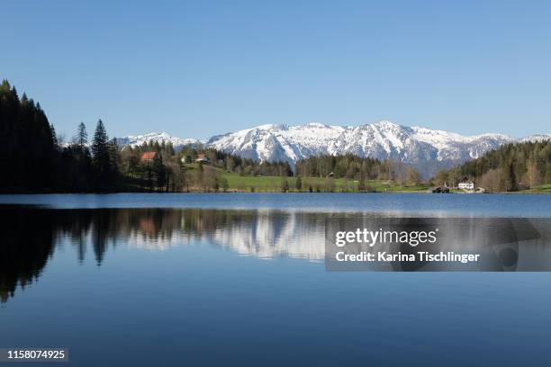 Gleinkersee Gleinkersee Photos and Premium High Res Pictures - Getty Images