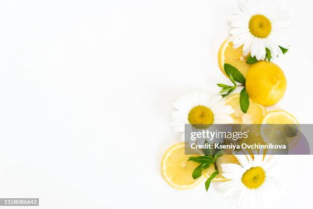 yellow lemons with fresh chamomile flowers on white plate - chamomile tea stock pictures, royalty-free photos & images