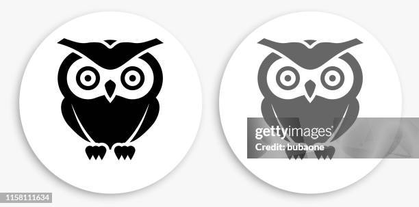 owl black and white round icon - owl white background stock illustrations