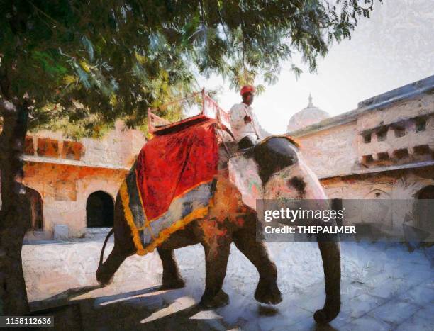 holi indian elephant in jaipur - digital photo manipulation - amber fort stock illustrations