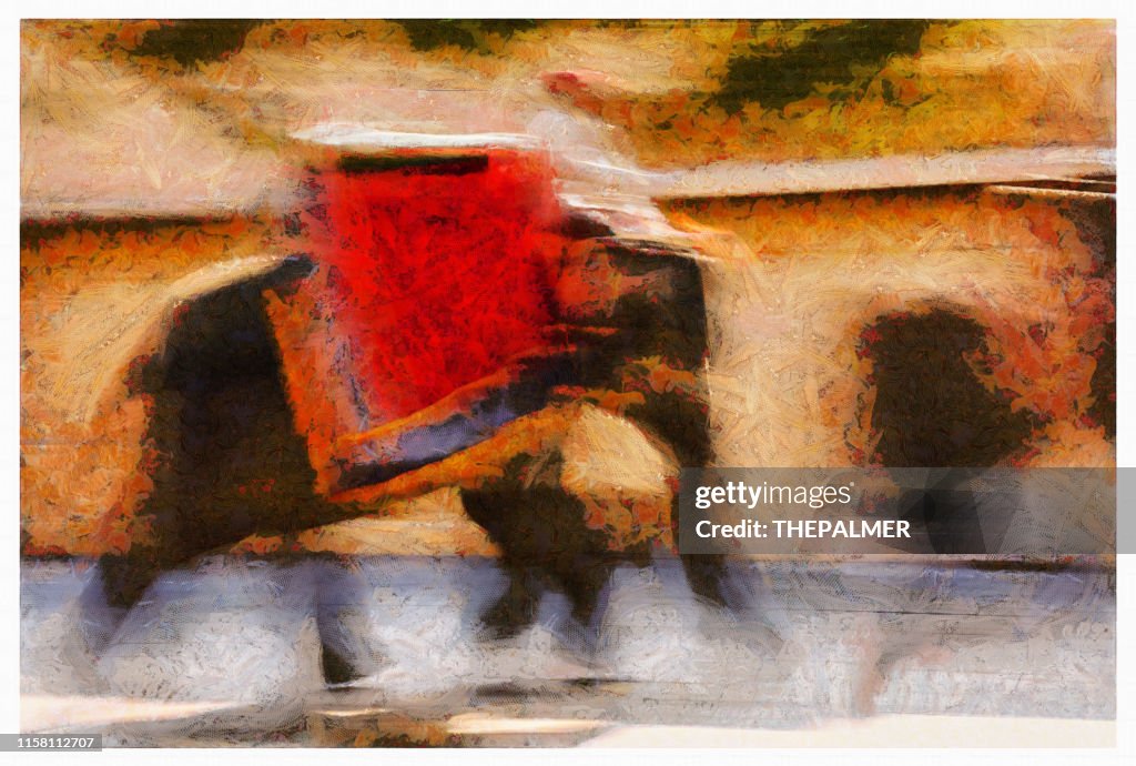 Holi Elefante Indio en Jaipur - manipulación de fotos digitales