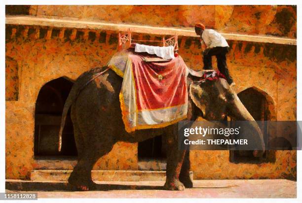 holi indian elephant in jaipur - digital photo manipulation - amber fort stock illustrations