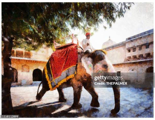 holi indian elephant in jaipur - digital photo manipulation - amber fort stock illustrations