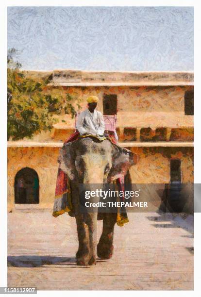 holi indian elephant in jaipur - digital photo manipulation - amber fort stock illustrations