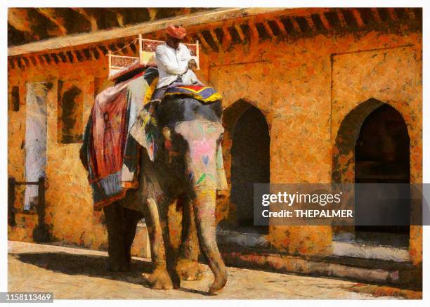 holi indian elephant in jaipur - digital photo manipulation - amber fort stock illustrations
