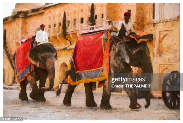 holi indian elephant in jaipur - digital photo manipulation - amber fort stock illustrations