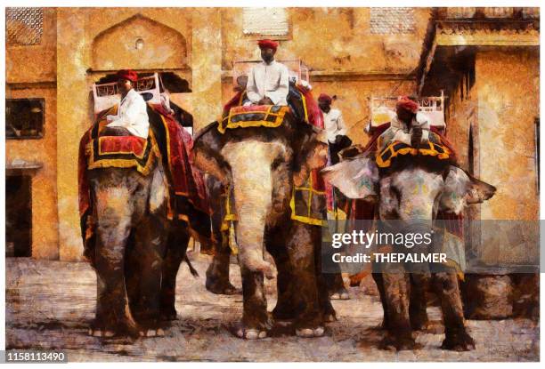 holi indian elephant in jaipur - digital photo manipulation - amber fort stock illustrations