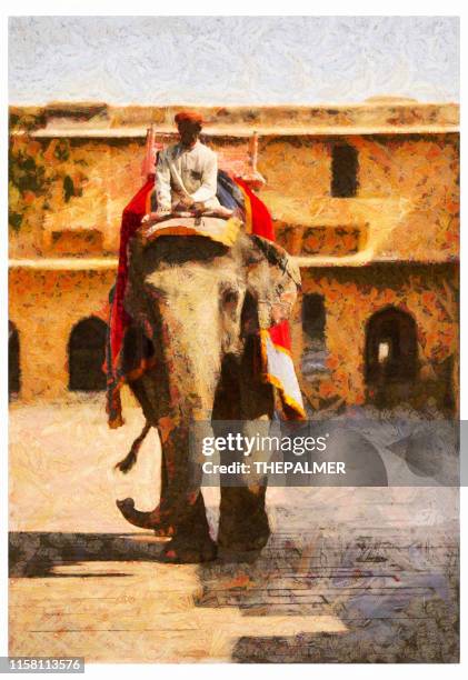 holi indian elephant in jaipur - digital photo manipulation - amber fort stock illustrations