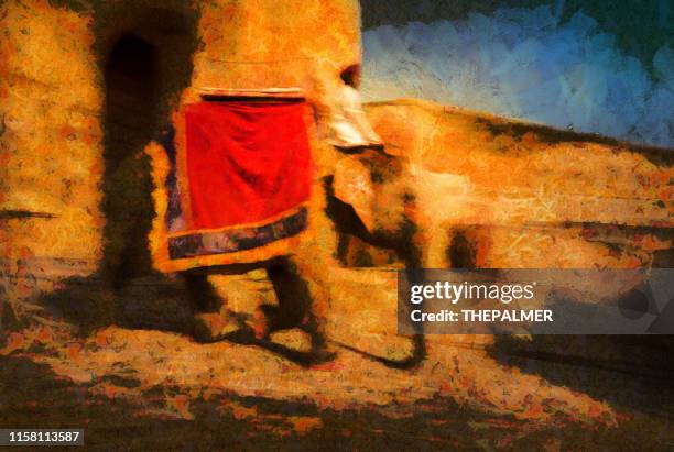 holi indian elephant in jaipur - digital photo manipulation - amber fort stock illustrations
