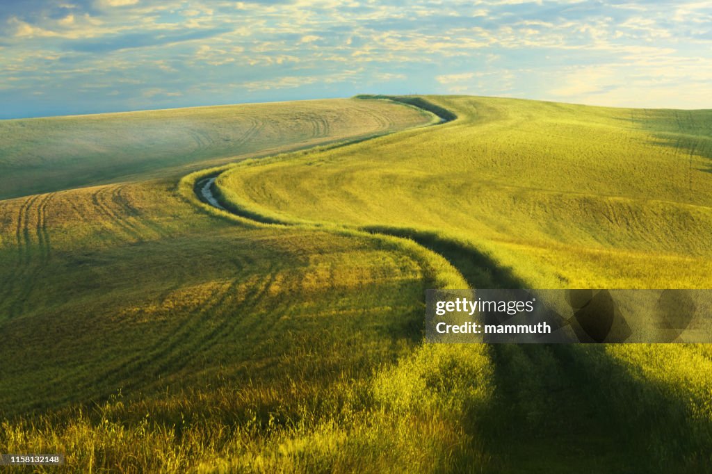 Kronkelende landweg in Toscane
