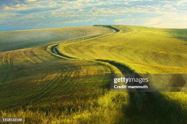 kronkelende landweg in toscane - landweg stockfoto's en -beelden