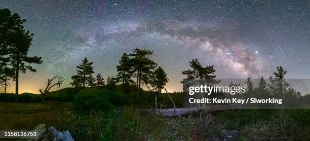 panorama of the milky way galaxy over a several pine trees - pinus jeffreyi stock pictures, royalty-free photos & images