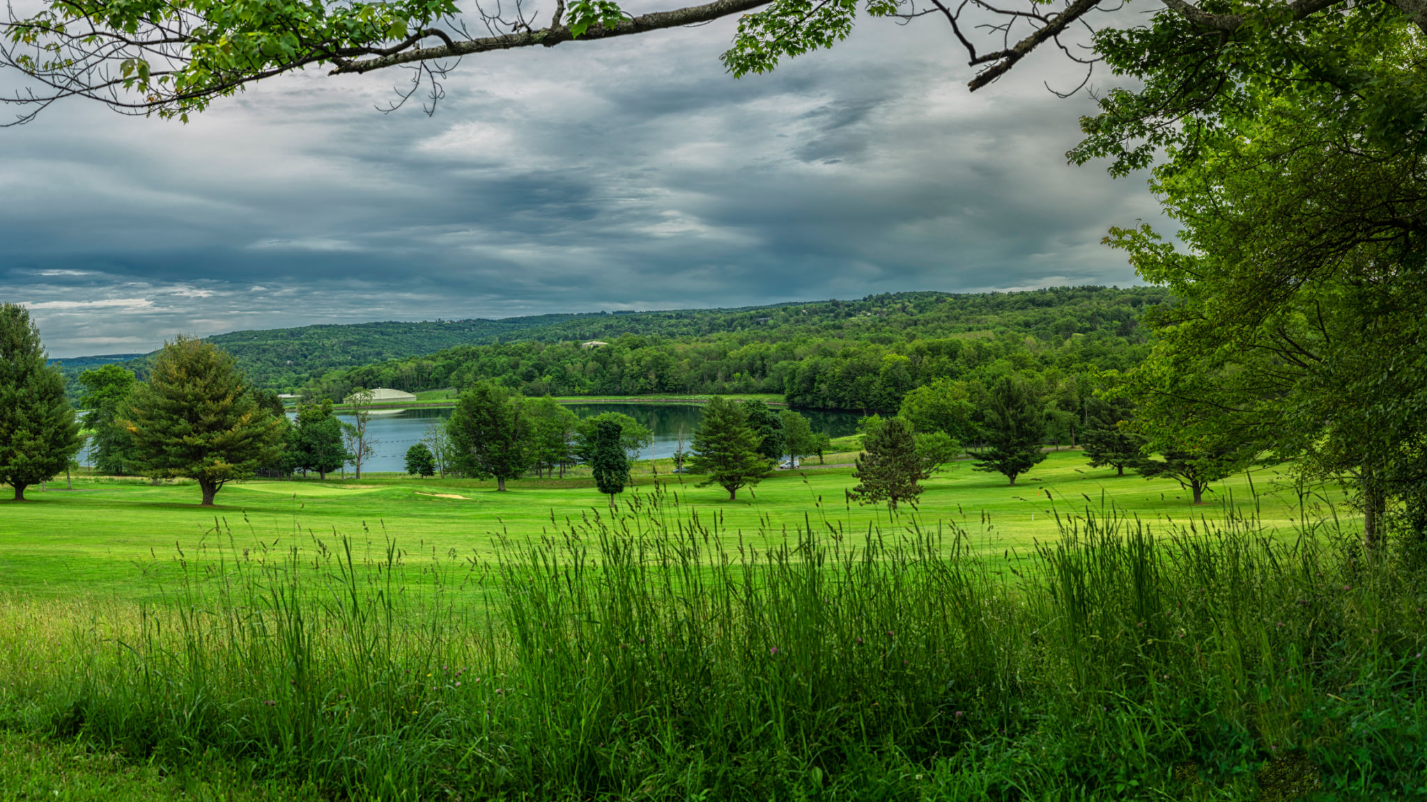 roscoe new york nature