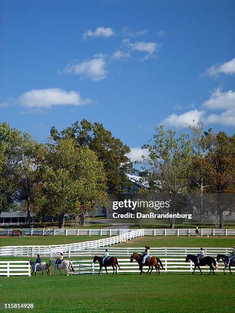 riding horses - kentucky field stock pictures, royalty-free photos & images