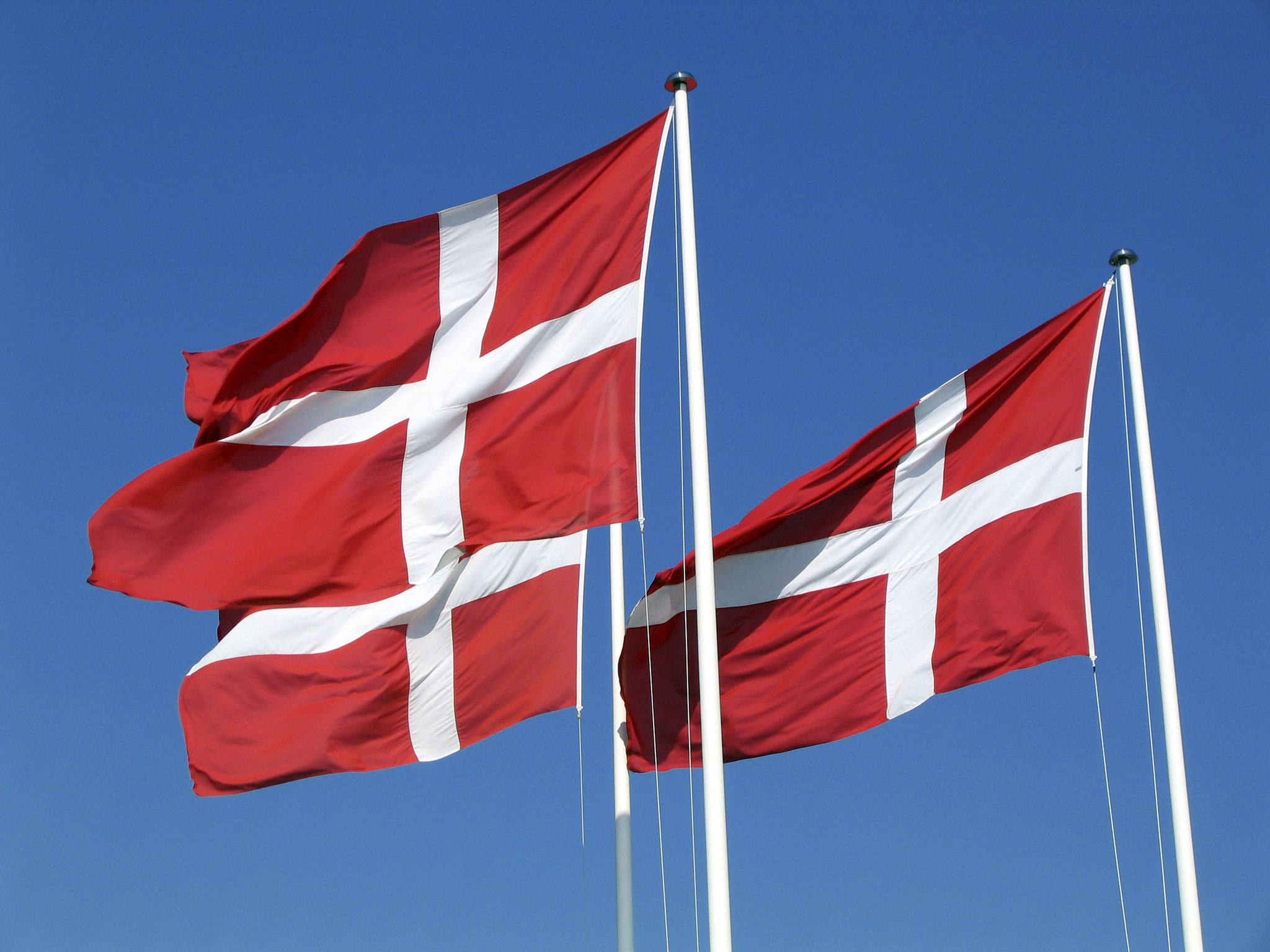 efoil in denmark