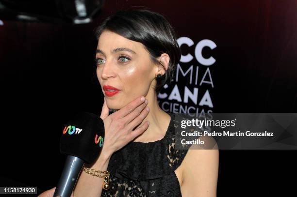 Actress Ilse Salas during the Red Carpet of 61th Ariel Awards at Cineteca Nacional on June 24, 2019 in Mexico City, Mexico.