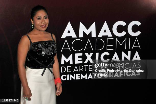 Yaliza Aparicio, during the Red Carpet of 61th Ariel Awards at Cineteca Nacional on June 24, 2019 in Mexico City, Mexico.