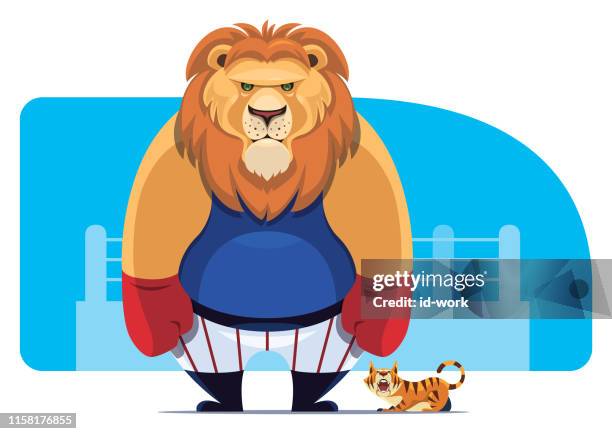 wütende löwe boxer und schreiende katze - funny boxing stock-grafiken, -clipart, -cartoons und -symbole