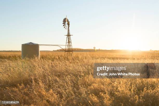 windmill in a field. coulta. eyre peninsula. south australia. - grain field stock pictures, royalty-free photos & images